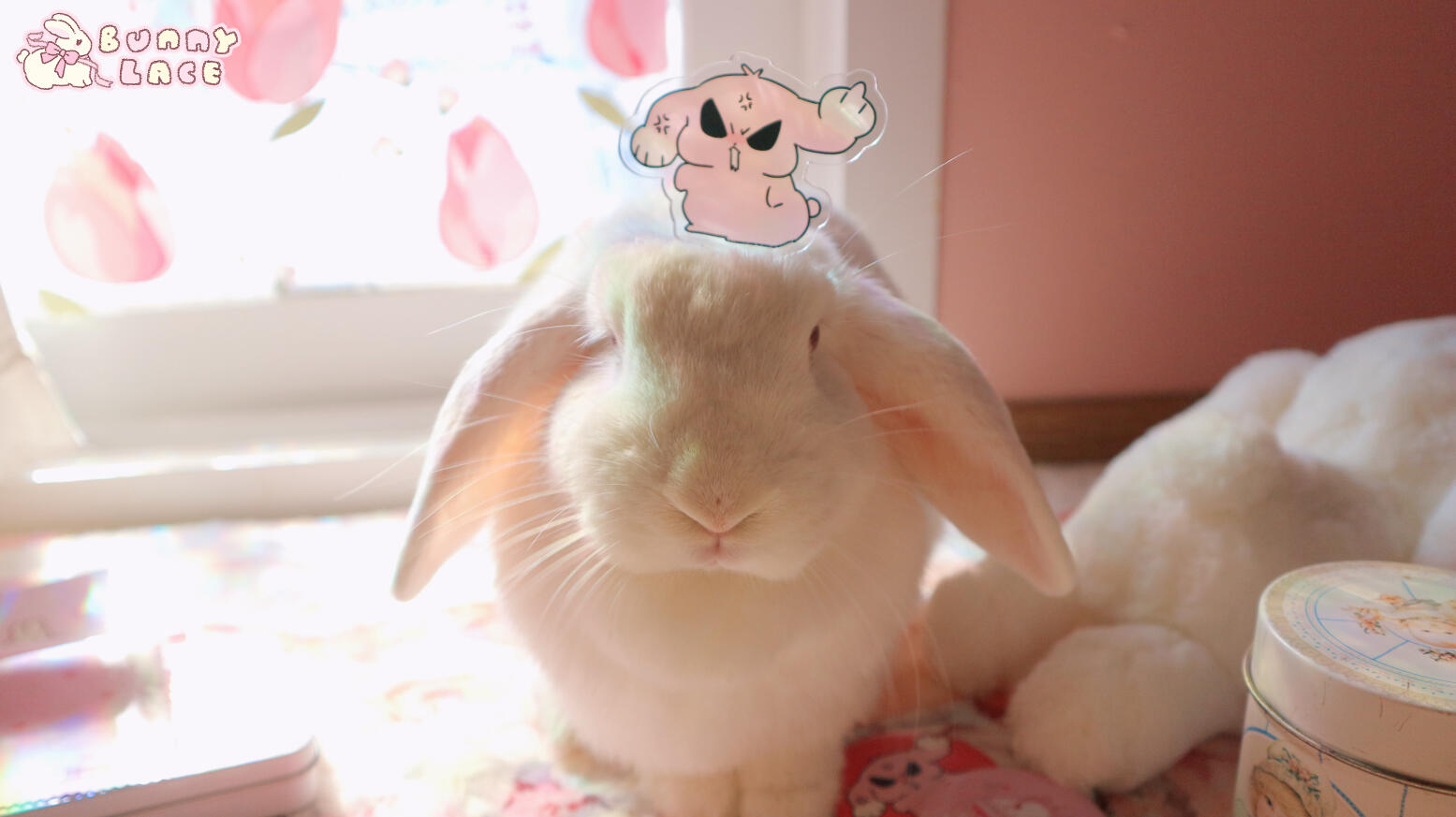 ⼠âĽ